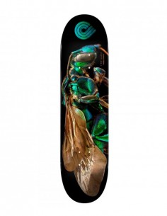 Powell Peralta BISS Cuckoo...