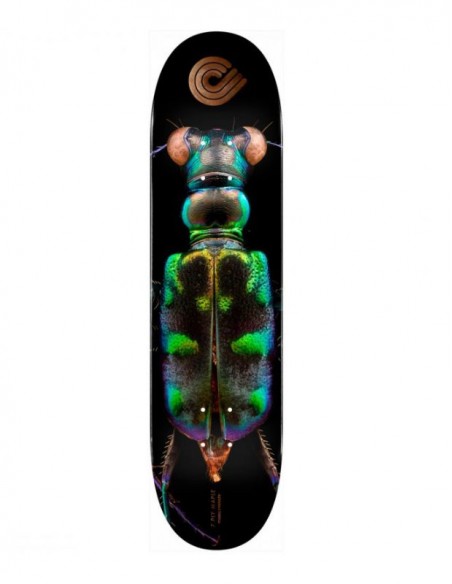 Powell Peralta BISS Tiger Beetle 8.25"