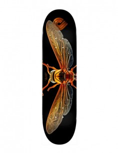 Powell Peralta BISS Potter...